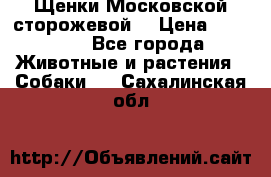 Щенки Московской сторожевой  › Цена ­ 25 000 - Все города Животные и растения » Собаки   . Сахалинская обл.